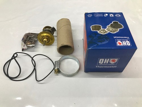 Thermostat kit for saab - kit,