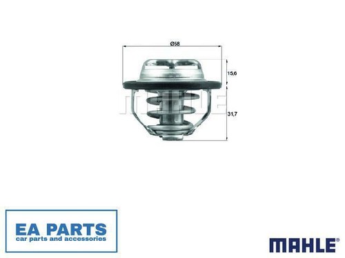 Thermostat coolant for - for, saab